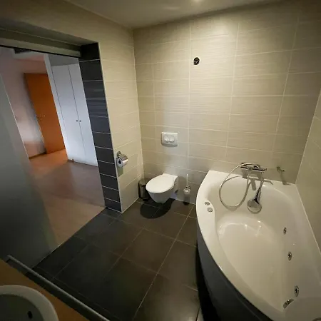 Apartmajska Hisa Breza アパートホテル