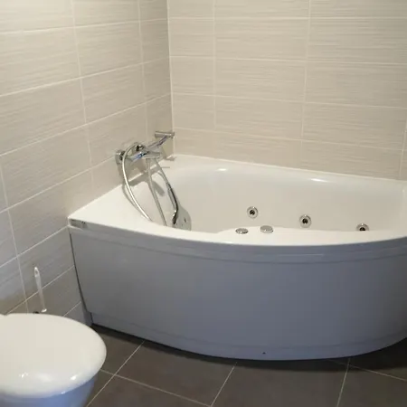 Apartmajska Hisa Breza アパートホテル