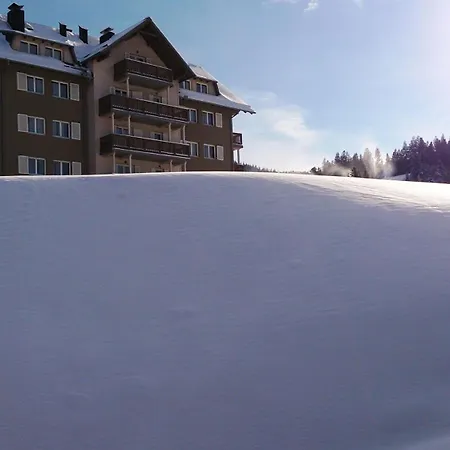 Apartmajska Hisa Breza アパートホテル 4*