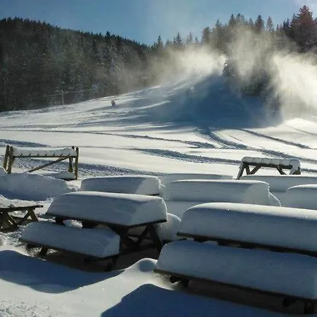 アパートホテル Apartmajska Hisa Breza Ribnica na Pohorju