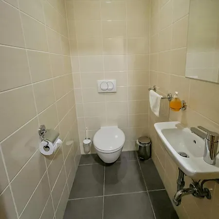 Apartmajska Hisa Breza