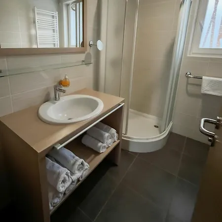 Apartmajska Hisa Breza アパートホテル