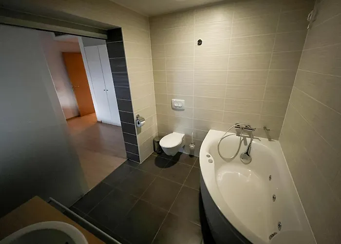Apartmajska Hisa Breza Aparthotel