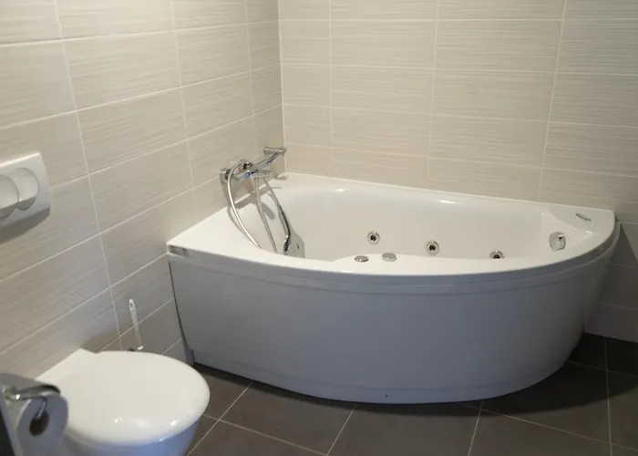 Apartmajska Hisa Breza Aparthotel