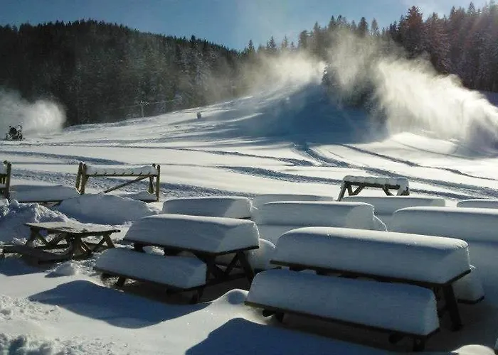 Lägenhetshotell Apartmajska Hisa Breza Ribnica na Pohorju