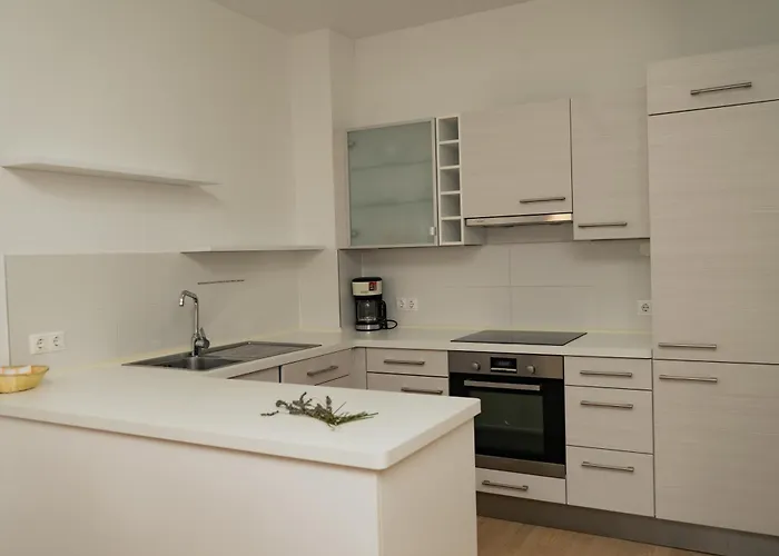 Apartmajska Hisa Breza Ribnica na Pohorju